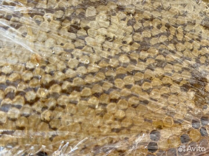 Соты с медом