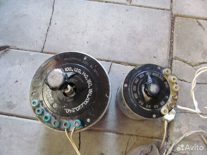 Латр мощный