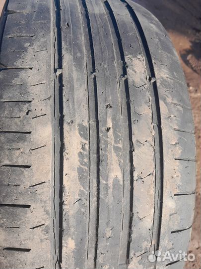 Continental ContiPremiumContact 5 195/55 R15