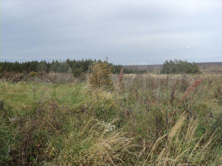 Участок 2,27 га (СНТ, ДНП)