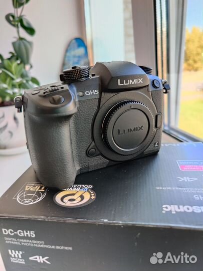 Panasonic Lumix GH5 пробег 1500