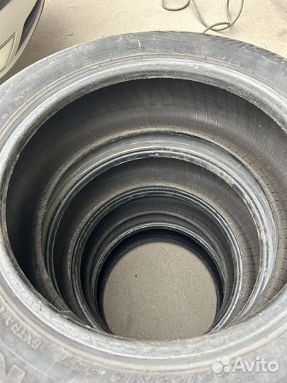 Nexen Winguard WinSpike 205/55 R16