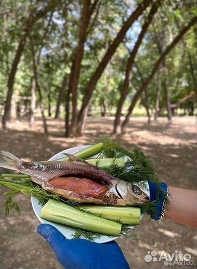 Вобла вяленая