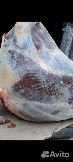 Мясо говядина