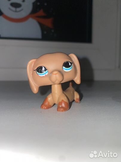 Littlest Pet Shop