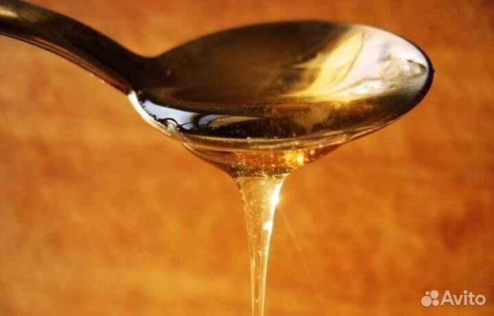 Мёд из Алтая опт