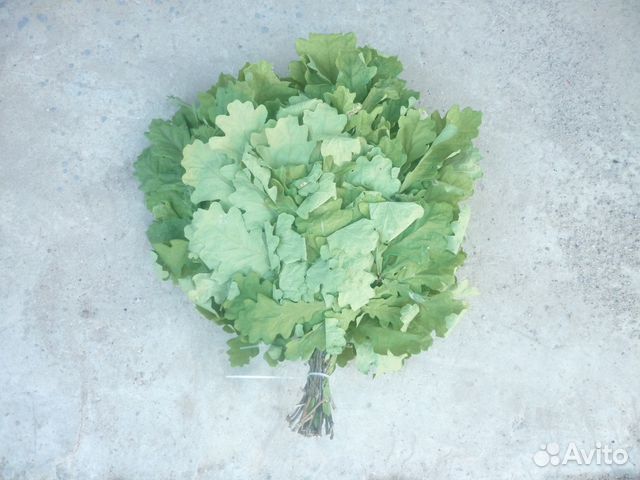 Дубовые веники