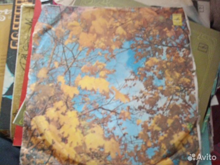 Виниловая пластинка