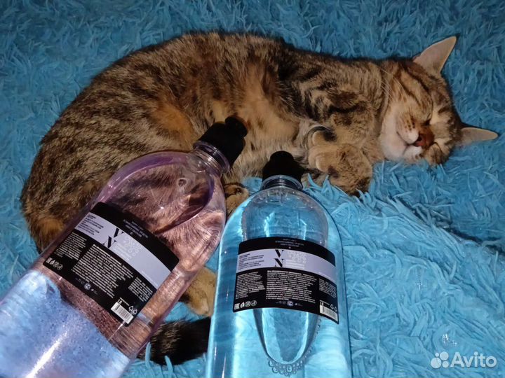 Концентрат дезинфицирующего средства