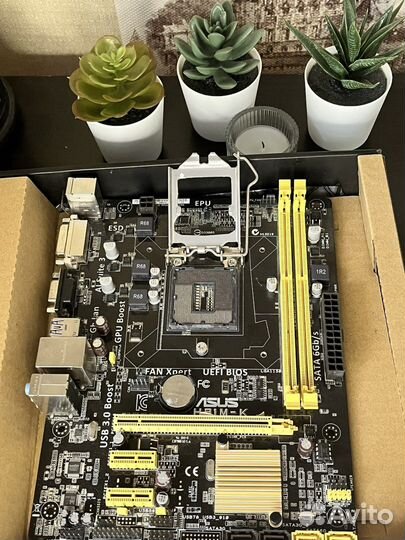 Материнская плата asus H81M-K