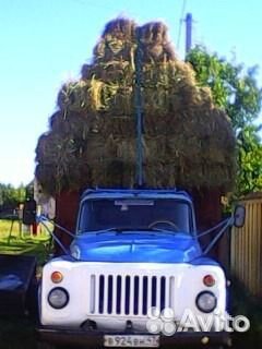 Сено в тюках