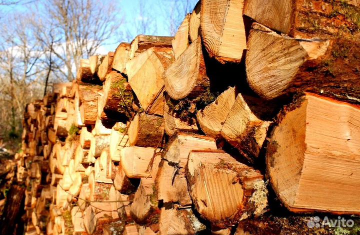 Дрова с Приозерска