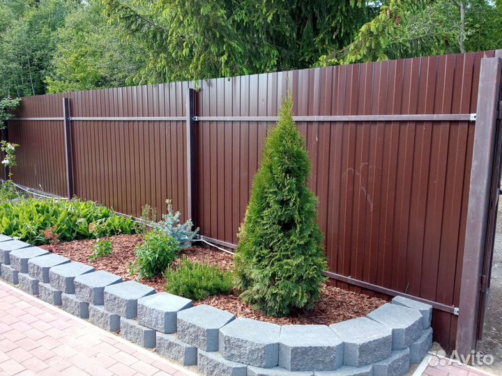 Садовники. Обрезка, скарификация