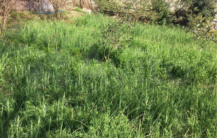 Участок 6 сот. (ИЖС)