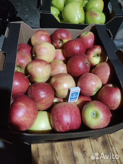 Яблоки, Джанаголд