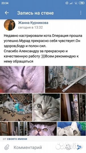 Ветеринарный врач на дом