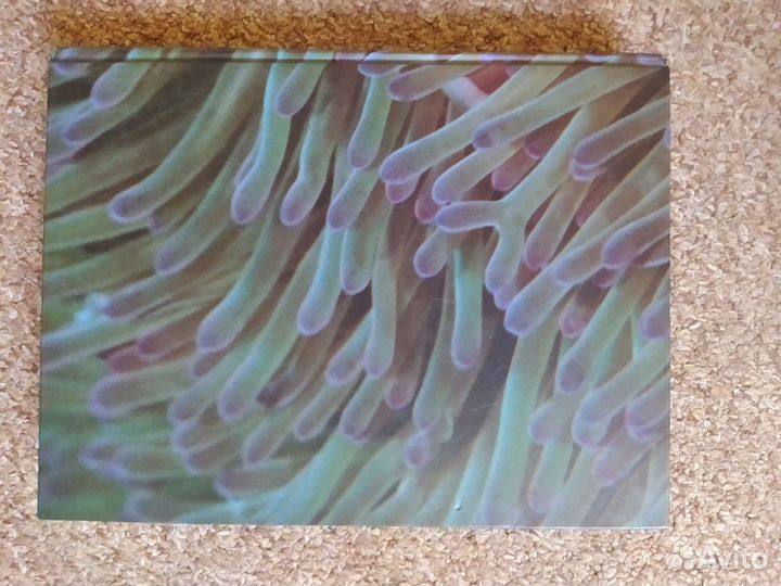 Книга секреты природы