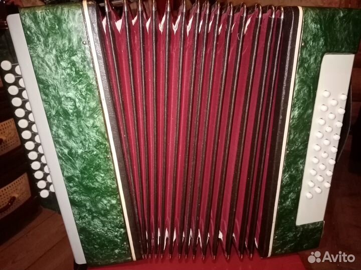 Гармонь нарач 2