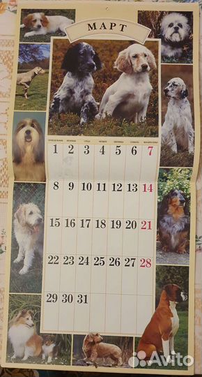 Календарь 1999 Собаки