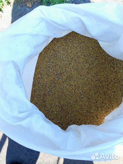 Семена люцерны