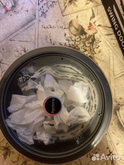 Королевская калифорнийская змея