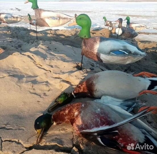 Чучела (флюгера) утки flock decoys для охоты