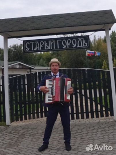 Аккордеонист, баянист, гармонист