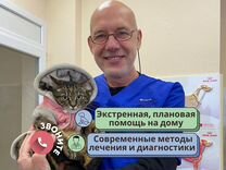 Вызов ветврача на дом. Скорая ветеринарная помощь круглосуточно. Скорая ветеринарная помощь круглосуточно на дом. Круглосуточная ветеринарная клиника. Скорая ветеринарная помощь.