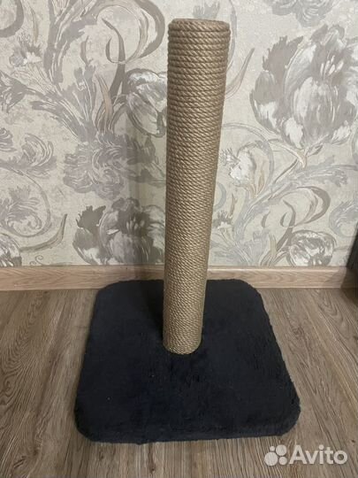 Когтеточка для кошки