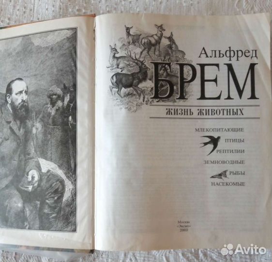 Энциклопедия жизнь животных Альфред Брем