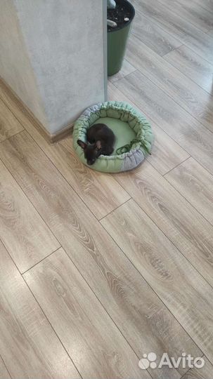 Все для животных