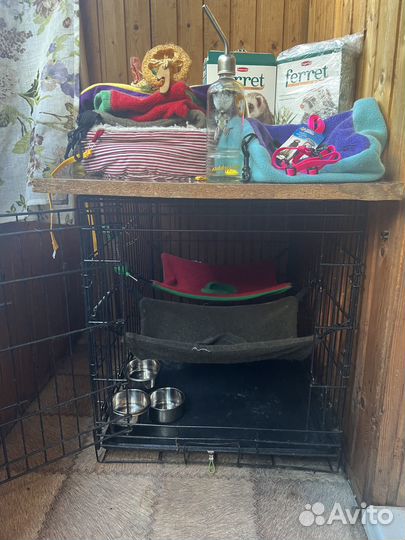 Полноценный дом для хорька, норки