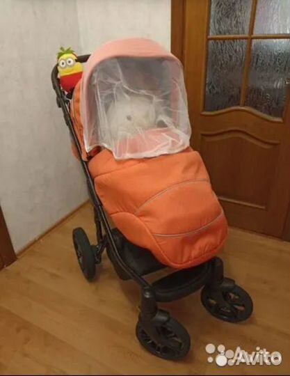 Польская детская коляскаRoan bass soft 2в1