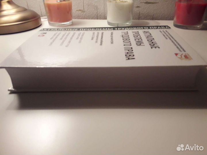 Лютов Н. Л. Актуальные проблемы трудового права уч