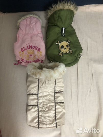 Одежда для маленькой собачки