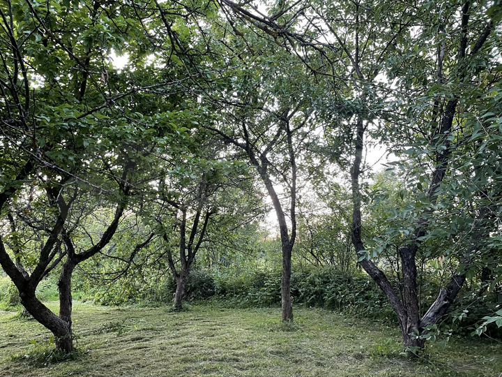 Участок 16,5 сот. (ИЖС)