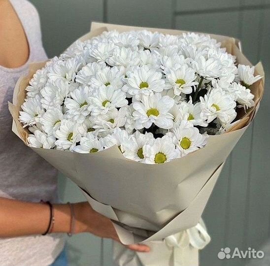 Хризантема. Букеты Цветы доставка