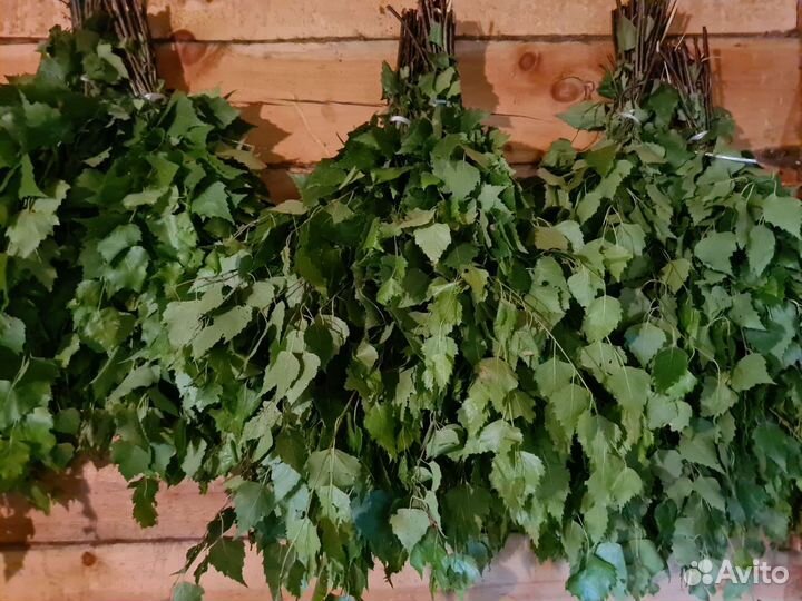 Свежие березовые веники