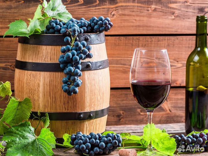 Экскурсия — Лимассол — Гранд-Тур По Кипру На Автом