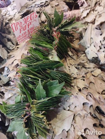 Лавровый лист свежий