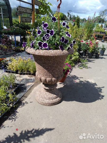 Цветочница бетонная. Вазон
