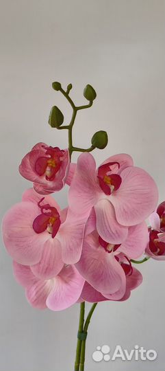 Орхидея искуственная (премиум класса)
