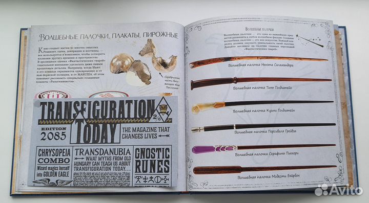 Ньют Саламандер. Записки магозоолога