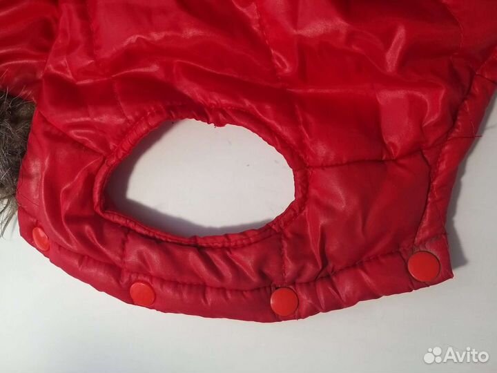 Жилетка для маленьких собак