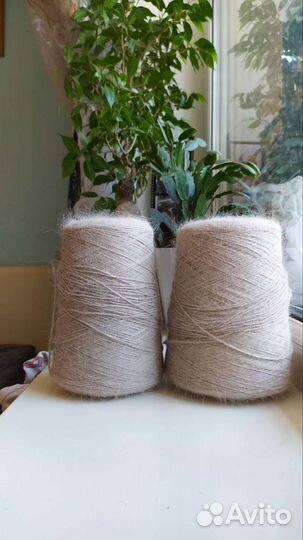 Ангора Италия