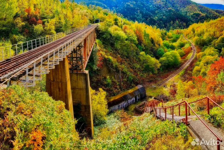 Турпоездка на Сахалин летом экспедиция до 8 дней