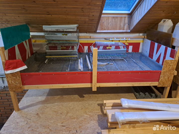 Клетки для кур, перепелов, брудер для цыплят