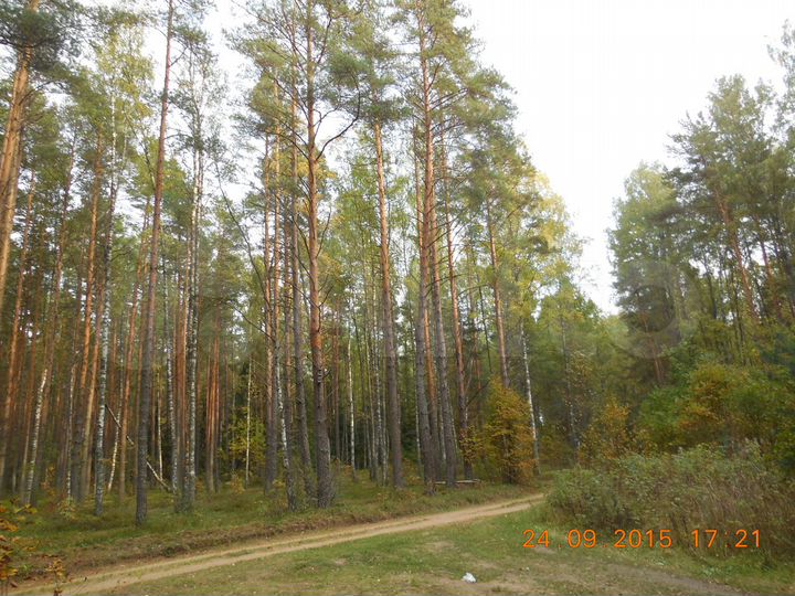 Дом 40 м² на участке 18 сот.