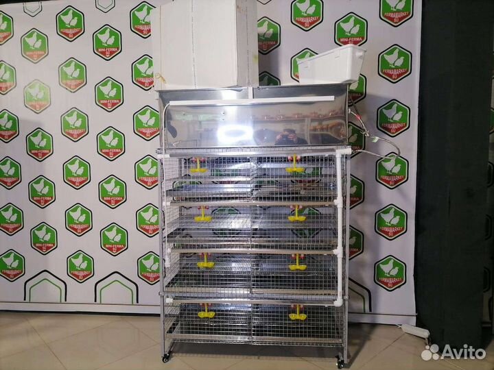 Мини Ферма для перепелов