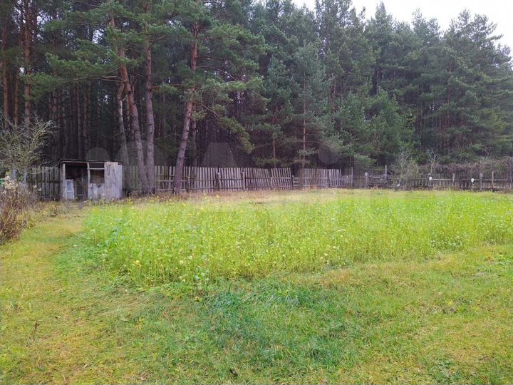 Участок 6 сот. (СНТ, ДНП)